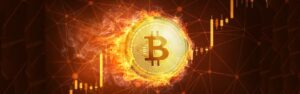  bitcoin price spot signs momentum macro etf 