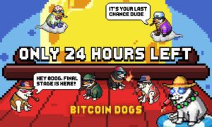  final hours bitcoin million dogs buying presale 