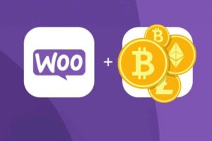 Empowering Merchants: WooCommerces Crypto Payment Gateway