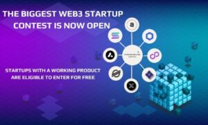  startups web3 permissionless apply capital successfully need 