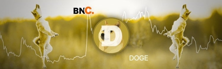 Dogecoin Banner