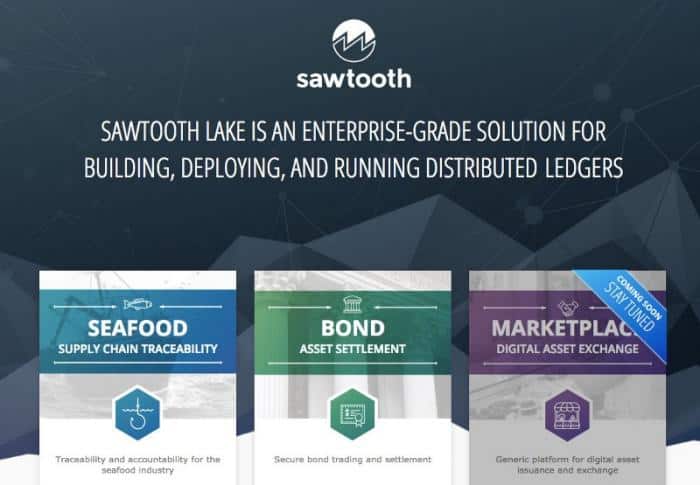 하이퍼 레저 톱니