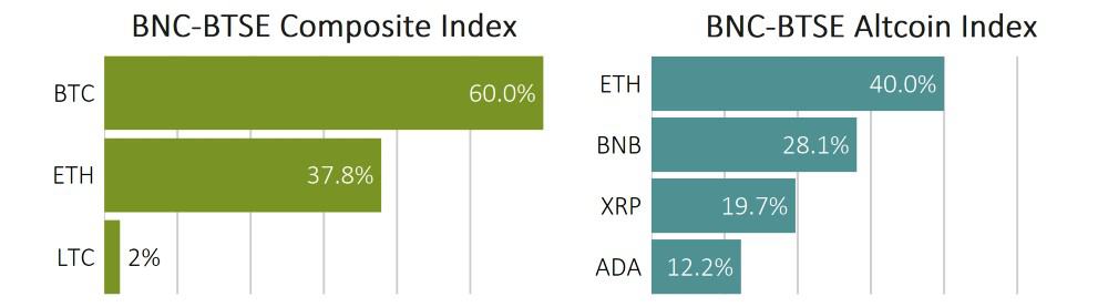 BNC-BTSE index composition