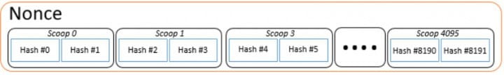 nonce