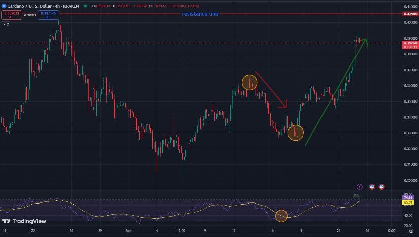 XRP, DOGE, ADA, WIF, MTAUR — Top 5 Coins to Boost Your Budget