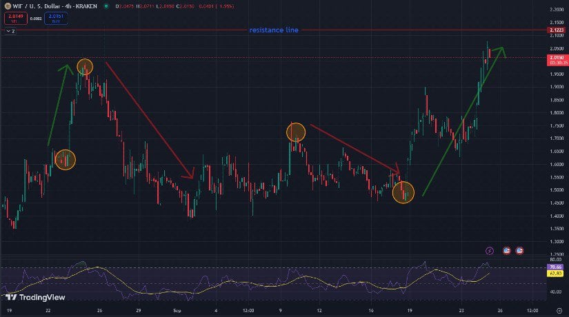 XRP, DOGE, ADA, WIF, MTAUR — Top 5 Coins to Boost Your Budget