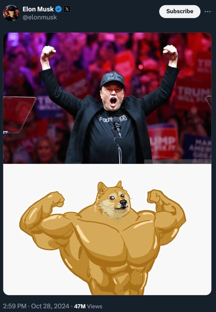 Elon musk and doge meme