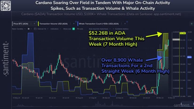 Cardano