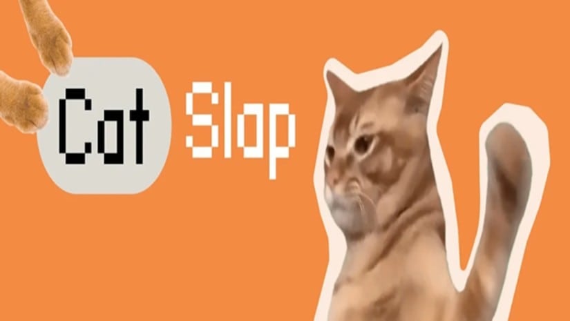 CatSlap