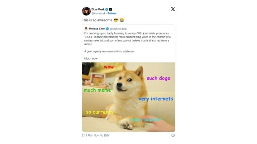 Dogecoin fans going nuts amid Elon Musk’s DOGE tweets