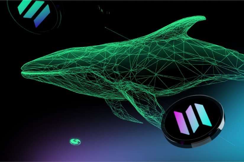 Lunex Network nov 23-1 Solana Whales Shift Profits Into a Potential 50x DeFi Kingpin As Shiba Inu Price Struggles To Maintain Momentum