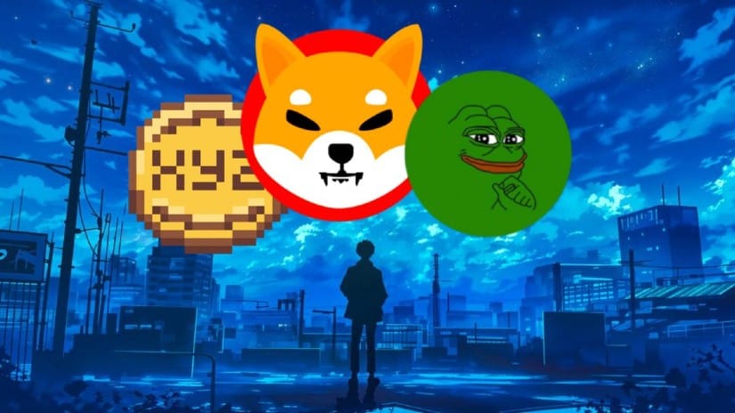 SHIB, PEPE, or XYZ—Which Meme Coin Is Set to Skyrocket Before Winter Hits?