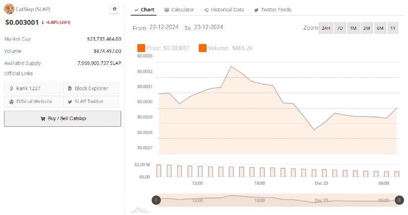 CatSlap Poised for Rebound Amid Oversold Conditions