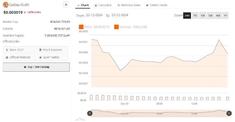 CATSLAP's SLAP Token Aims to Overtake Top Meme Coins