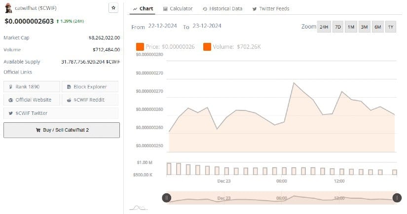 $CWIF: A Deflationary Memecoin with Auto-Burn on Solana