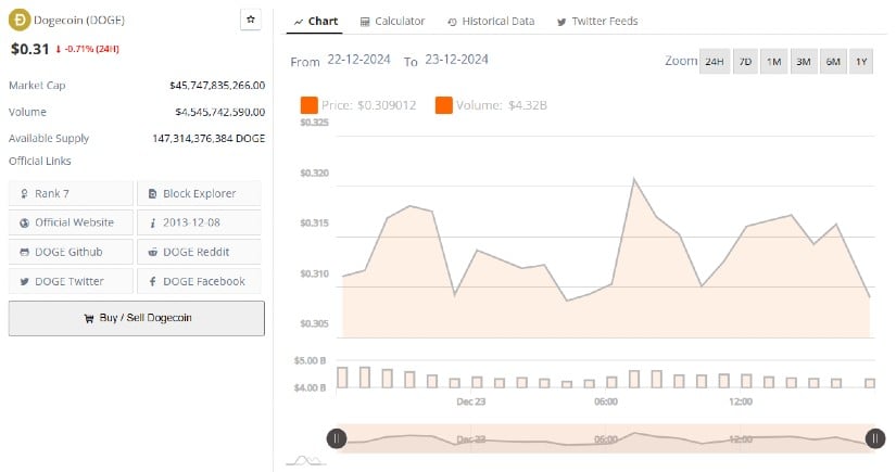 Dogecoin: From Internet Meme to Major Cryptocurrency