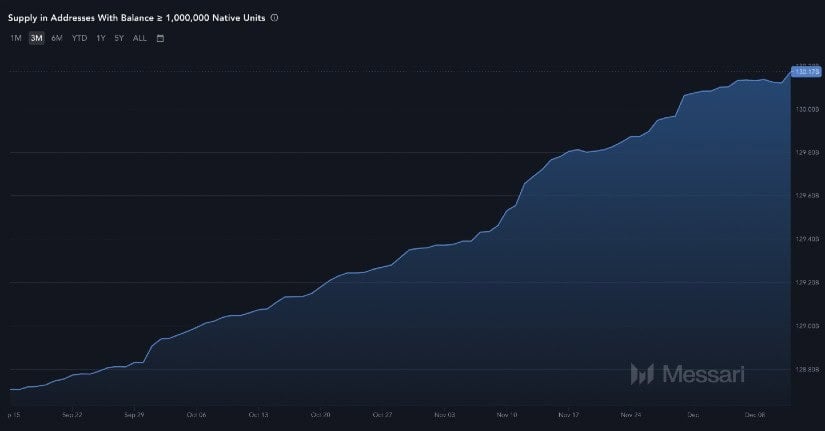 Ценовое оповещение DOGE! Вот почему эксперты прогнозируют взрывной рост на 85%