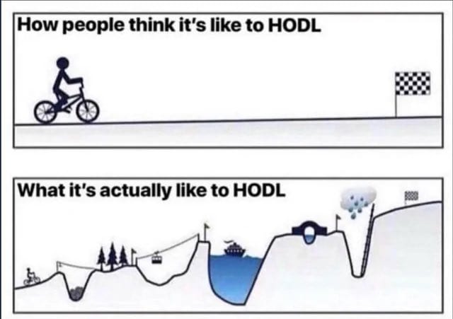 Image of the Day – What It’s Really Like to HODL