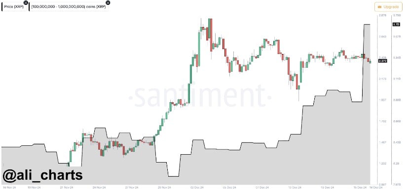 XRP: Large Whale Purchases Signal Big Expectations 