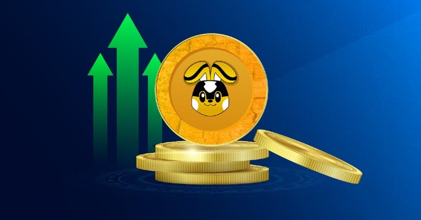 3 Best Altcoins to Buy Now