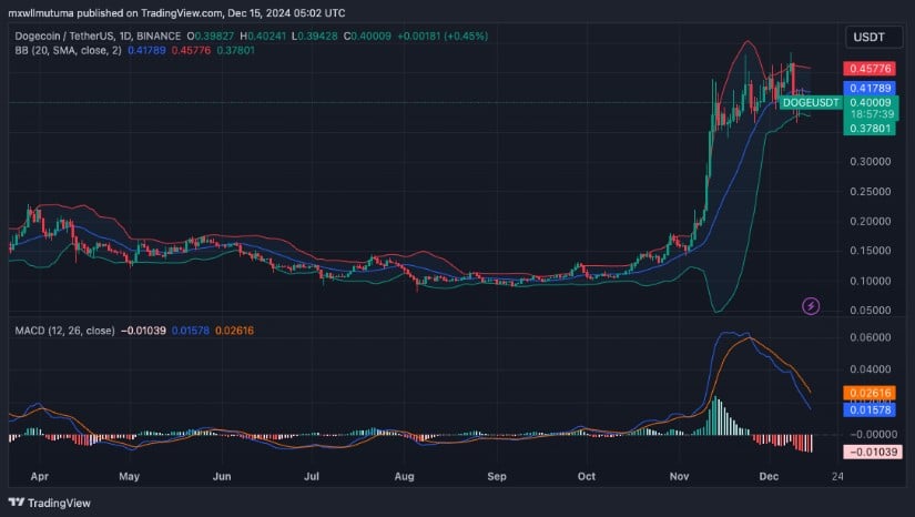 Rexas Trading View 23 Dec