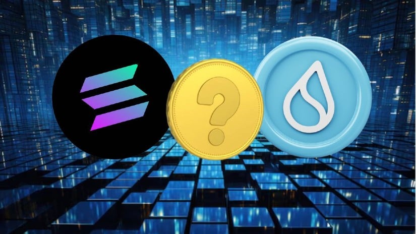 New Blockchain Poised to Surpass Solana and SUI in 2025 Crypto Bull Run 