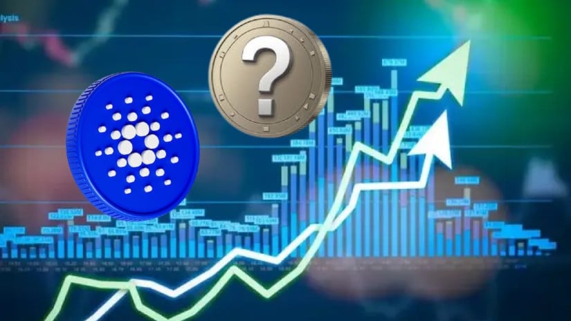 Prepare for Cardano’s 2025 Surge: ADA and a Hidden Gem Ready to Rock the Crypto World