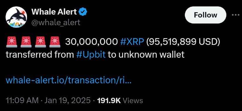 Details of the XRP Whale Transfer
