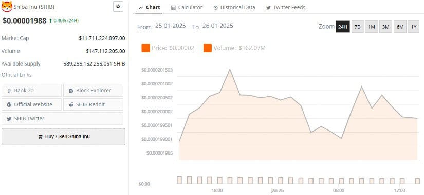  A Meme Coin with a Breakout Forecast
