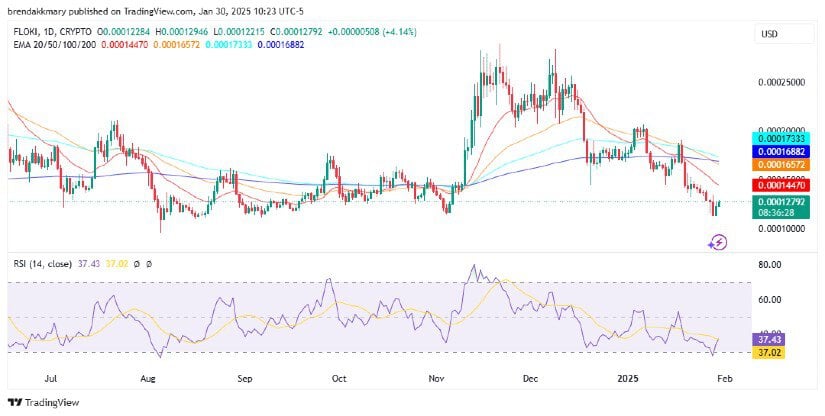 Floki / USD 