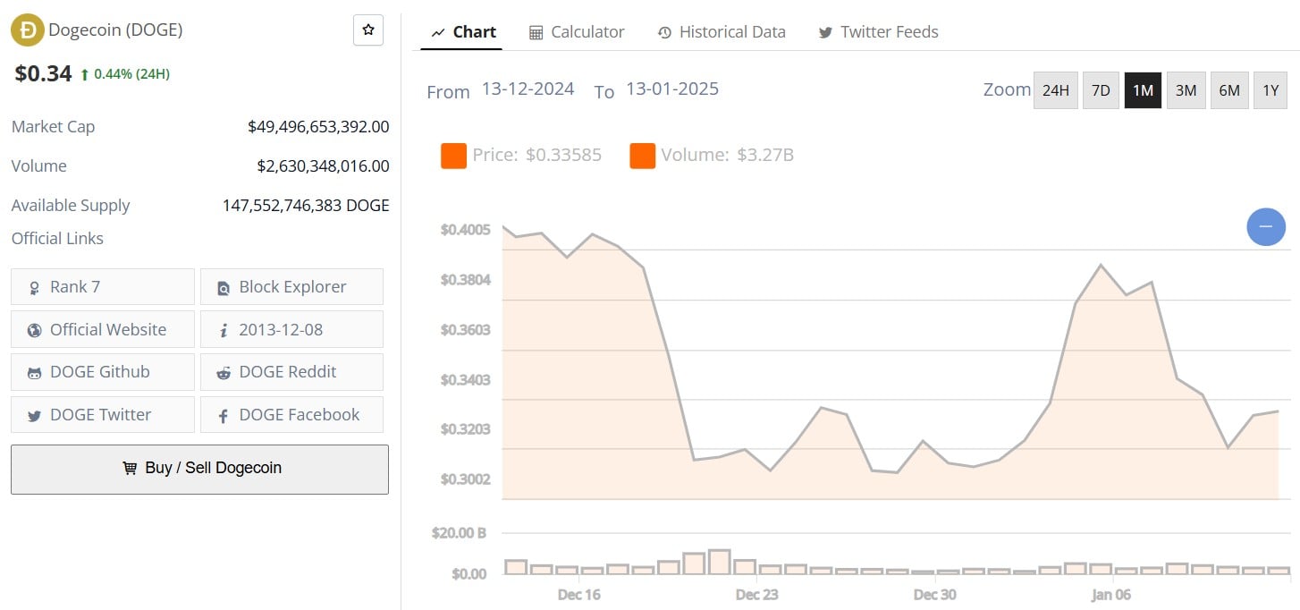 DOGE price 11th Jan 2025