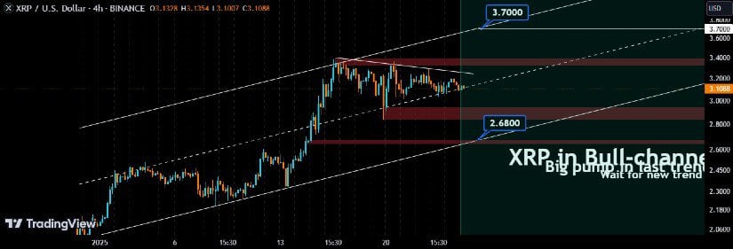 Current Market Dynamics 