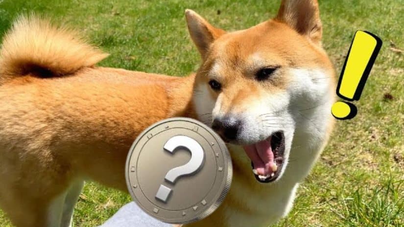 Mid-2025 Predictions: Three Altcoins Ready to Surpass Shiba Inu’s Legendary Surge