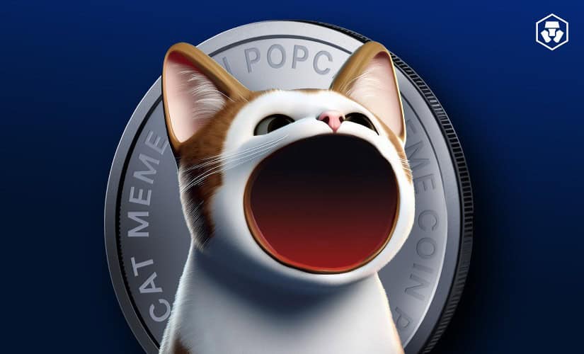 Popcat