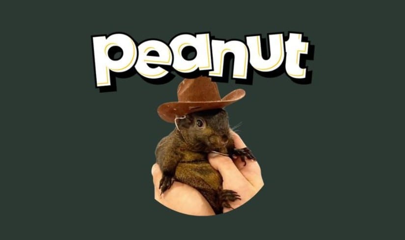 Peanut the Squirrel