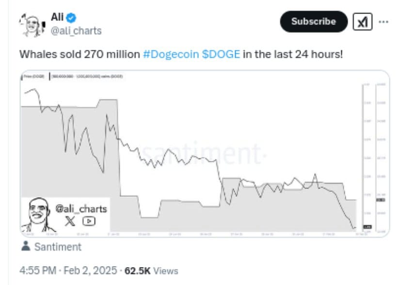 Dogecoin Analysis