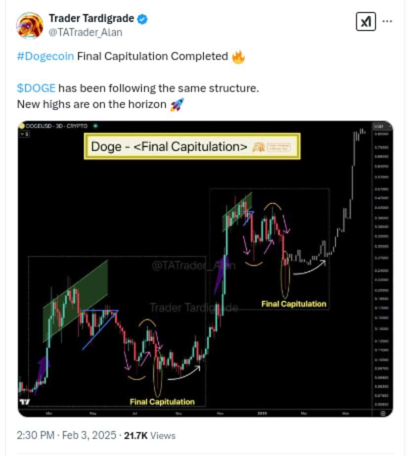 Trader Tardigrade Chart