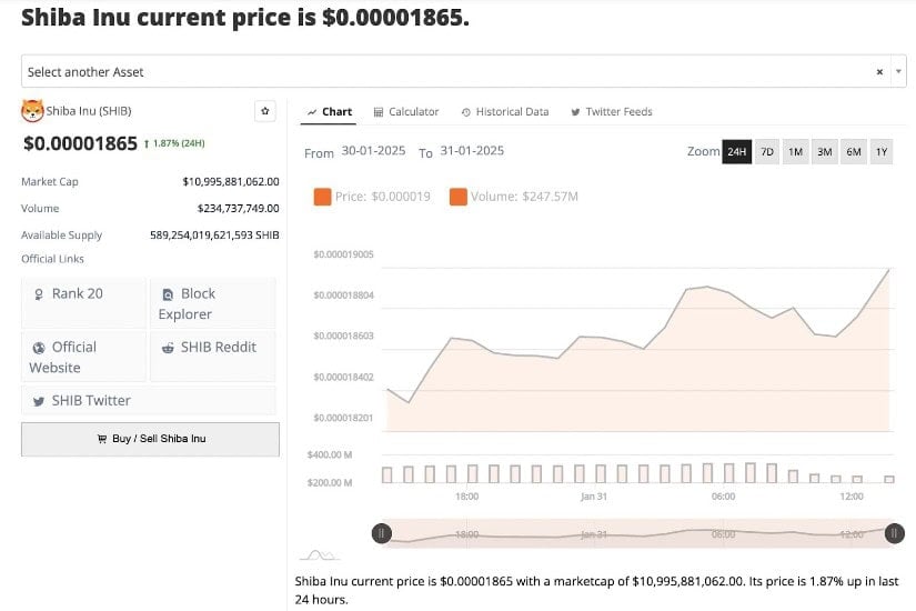 Is Shiba Inu is a higher crypto to buy in 2025?