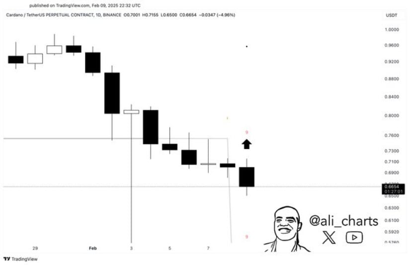 Bullish signal on the ADA price chart