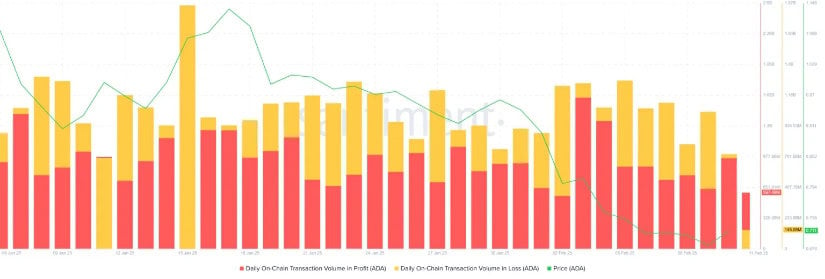 Cardano Transaction Volume in Losses