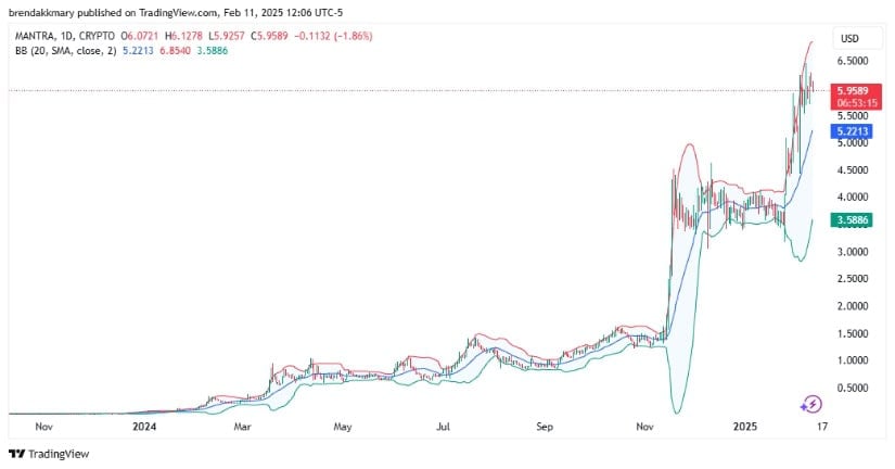 OM/USD daily chart