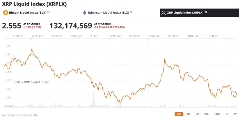 XRP Liquid Index