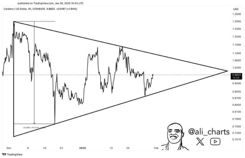 Cardano