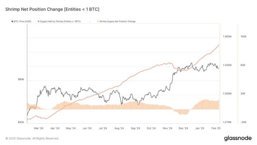 Large BTC savings increased by 3.2%