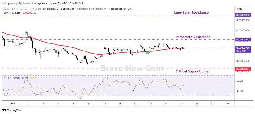 PEPE’s Bullish Momentum: Key Support Holds