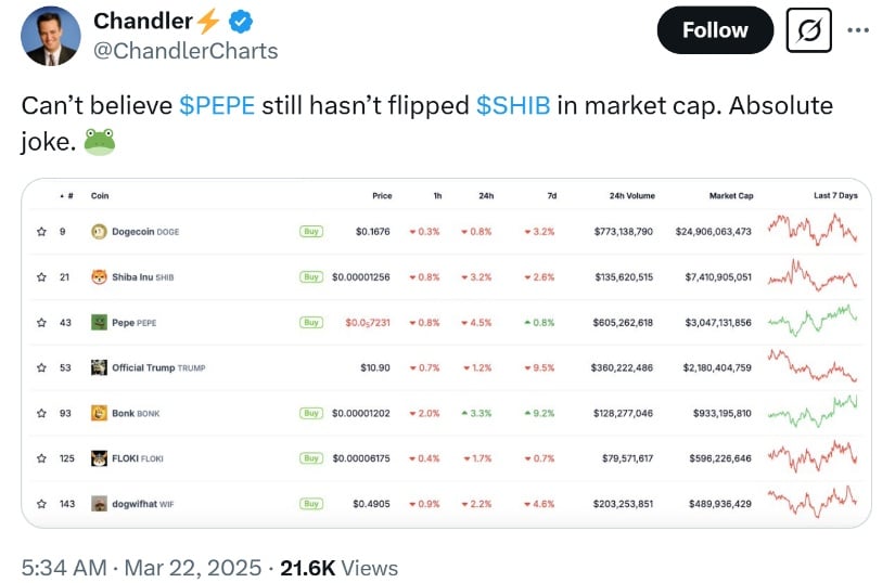 PEPE’s Market Position and the Challenge of Outpacing SHIB