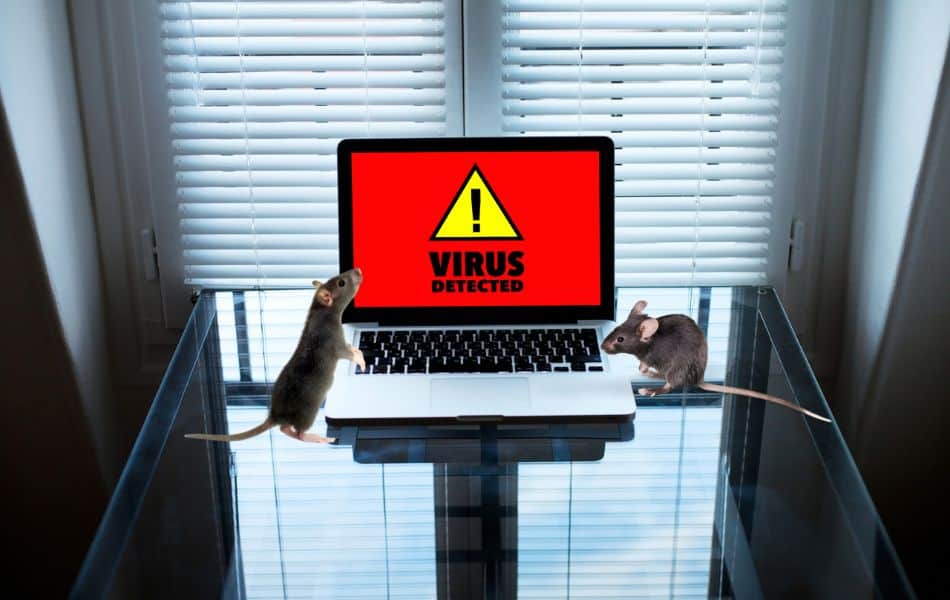 StilachiRAT New Trojan Malware StilachiRAT Targets Crypto Browser Wallets, Microsoft Warns