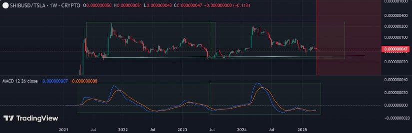 Technical Indicators Signal a Possible Upswing