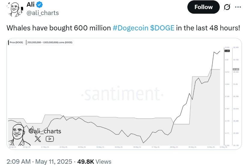 Whale Accumulation Fuels Dogecoin Rise