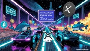 XRP Whales Move $782M as XRP Ledger Surpasses 1M Transactions Following Fed Decision
